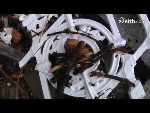 problemas sanitarios locales en San Sebastián