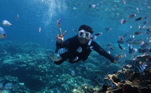782045 - Brisub - Europa News 24h Snorkeler in a wetsuit with mask and snorkel, giving a peace sign while surrounded by tropical fish underwater near a coral reef.