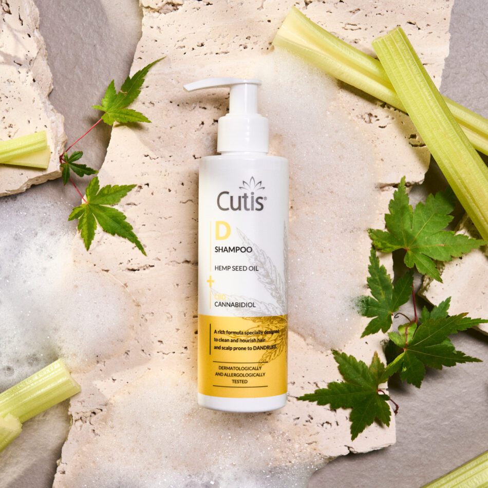 The cutis lab - IP - Europa News 24h Cutis D Shampoo bottle with hemp seed oil and CBD on a textured stone background with green leaves nearby